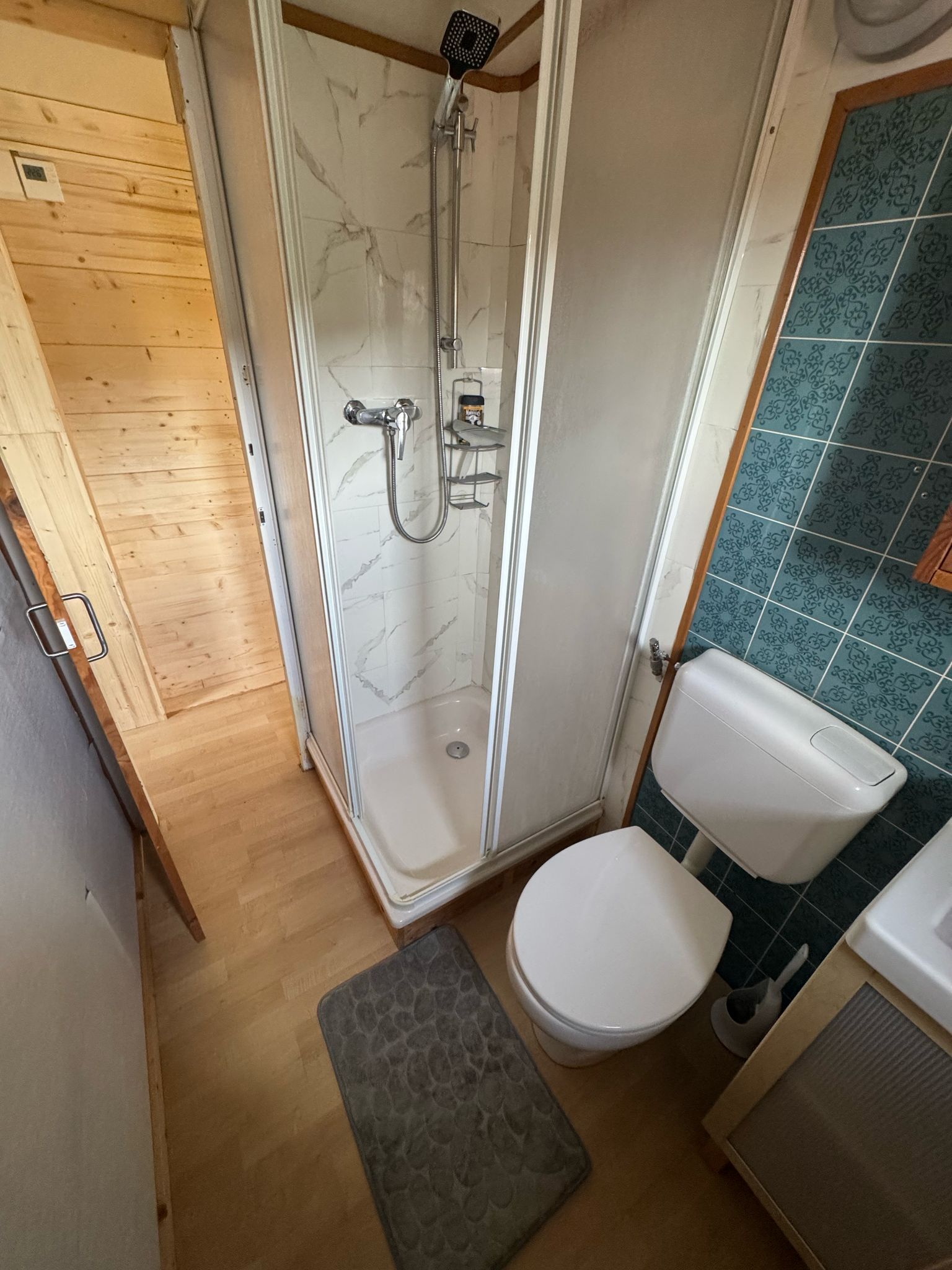 Salle de bain avec douche et wc